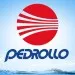 Pedrollo