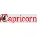 Capricorn Capricorn