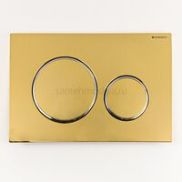 Смывная клавиша Geberit Sigma 20 115.882. GL.1 глянцевое золото с хромированными глянцевыми кольцами Смывная клавиша Geberit Sigma 20 115.882. GL.1 глянцевое золото с хромированными глянцевыми кольцами