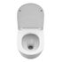 Инсталляция GROHE Rapid SL 38772001, с кнопкой смыва никель матовый 38732EN0 + BelBagno TORNADO UNO-TOR BB5177CH-TOR/SC