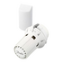 Термостатический элемент Danfoss RAW 5012/RTRW 7082, 013G5012/013G7082 с жидкостным выносным температурным датчиком 2 м