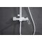 12163-F Душевая система (БЕЛЫЙ) (5/1шт)