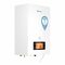 Электрический настенный котел THERMEX Tesla 6-12 Wi-Fi