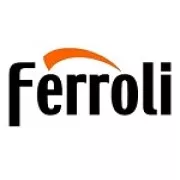 Электрические котлы Ferroli